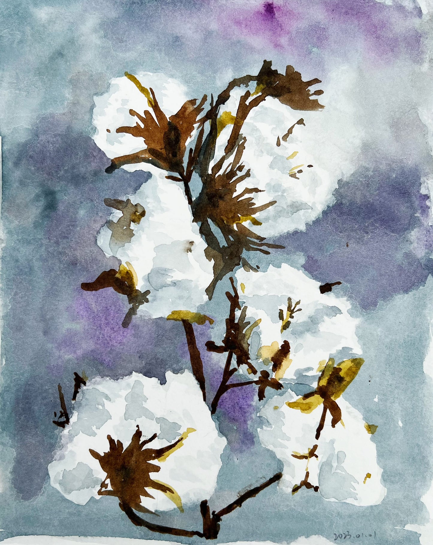 Soft Cotton 2