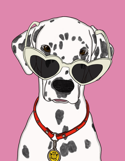 Cool Dalmatian