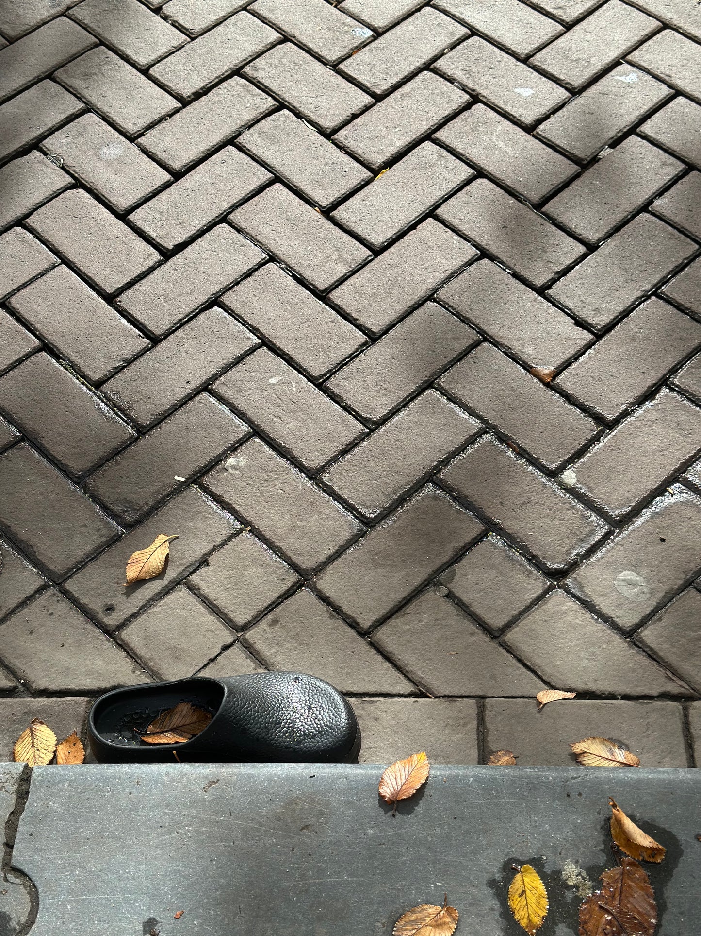 Left in transit
