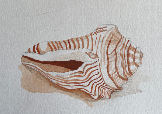 Shell
