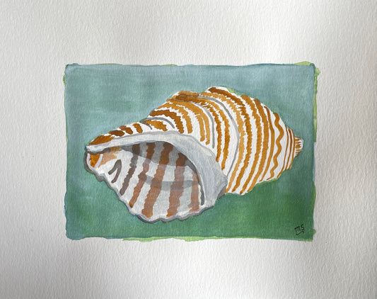 Shell on Green