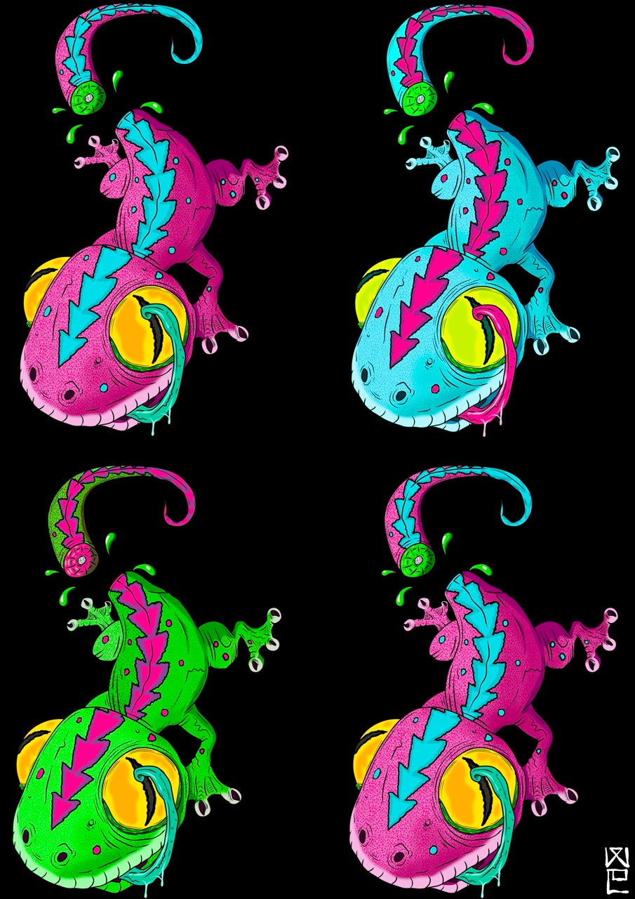 Mokos (Geckos)