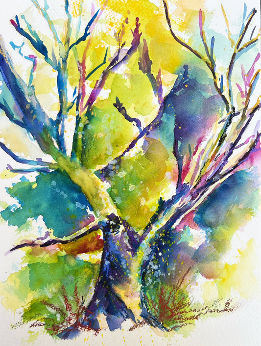 Gum tree